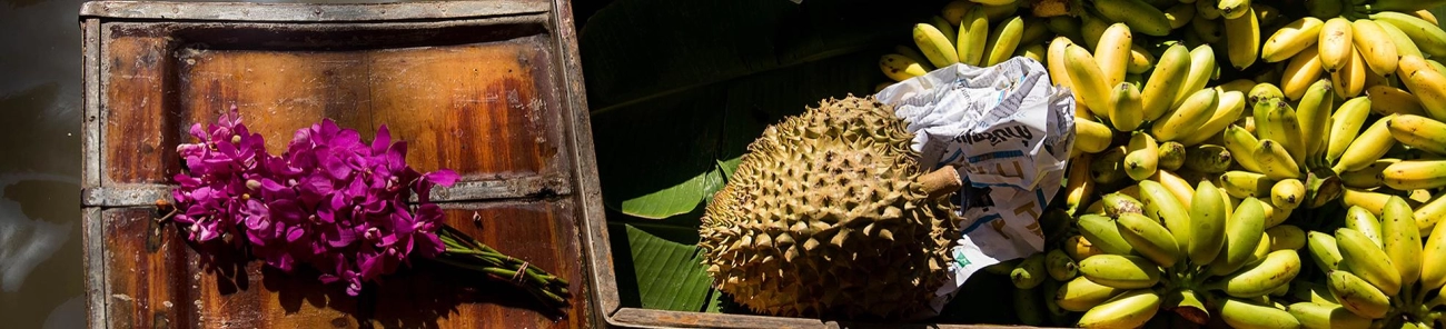 Top 10 Vegetarian-Friendly Cities in Asia for Plant-Based Travelers