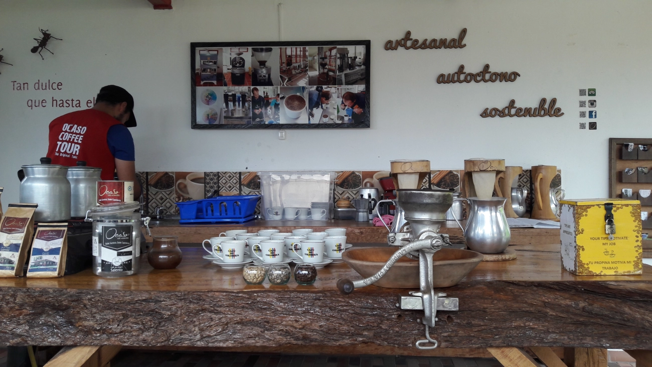 Ultimate Colombia Bucket List for Vegetarians Exploring Plant-Based Travel