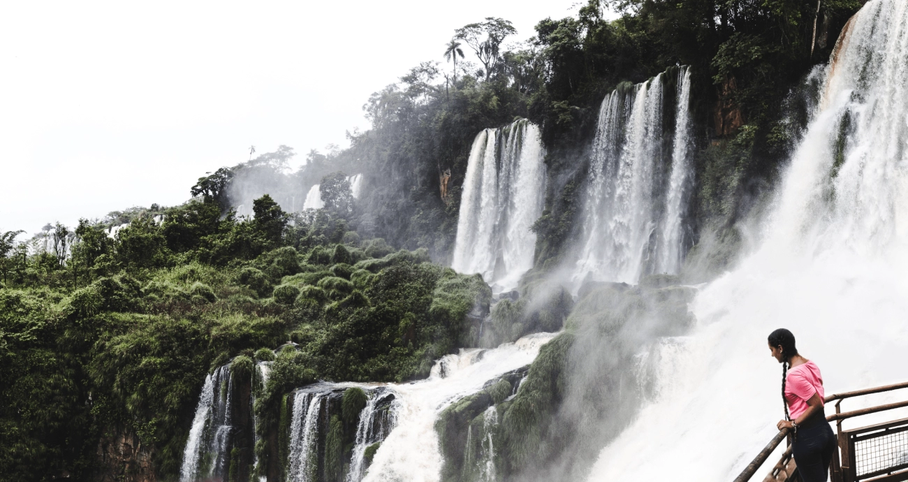 Discover Plant Wisdom in Traditional South American Street Drinks