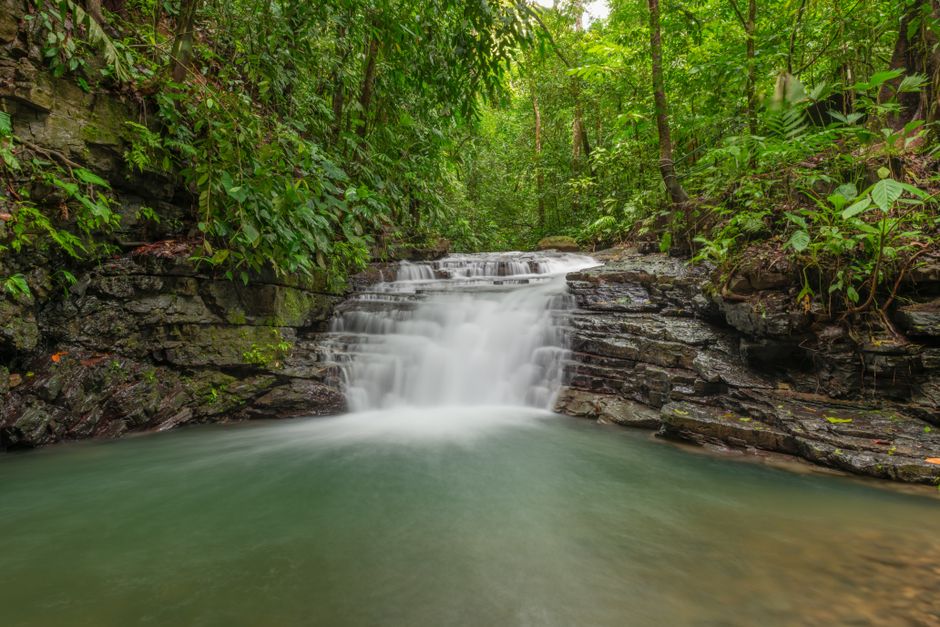 Tranquil waterfall cascading in lush Costa Rican rainforest, surrounded by vibrant foliage.