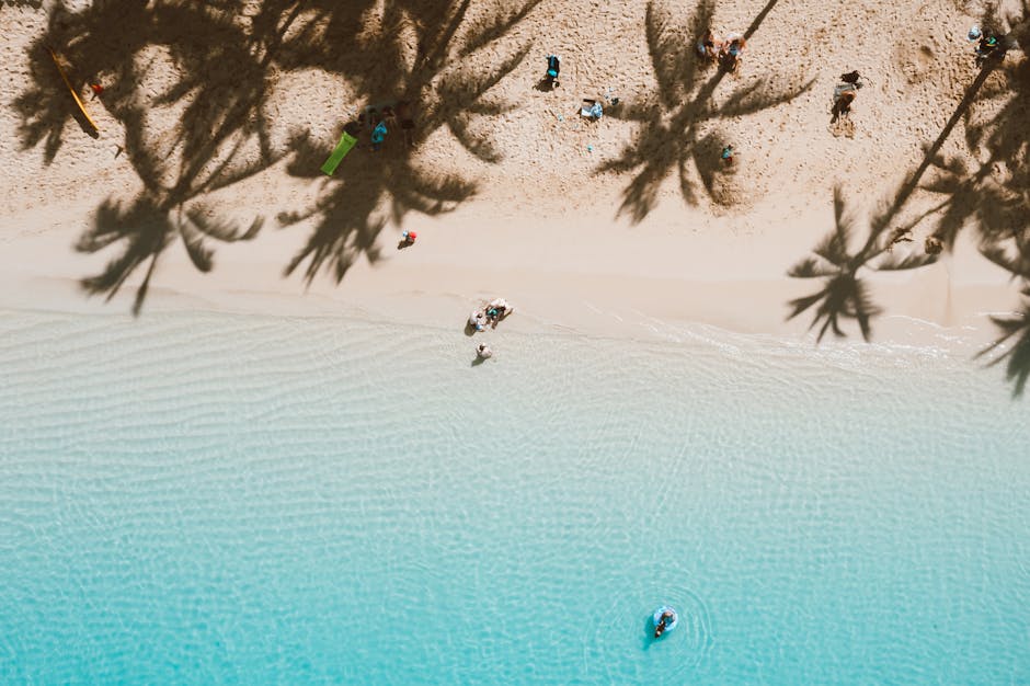 Stunning aerial shot of a tropical beach with palm shadows and turquoise waters.