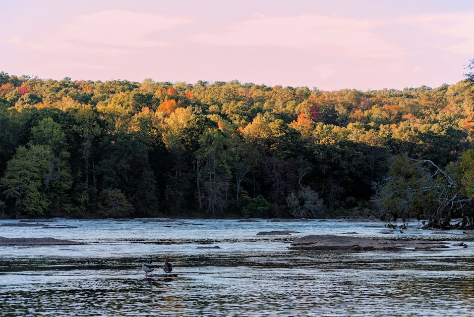 Peaceful autumn view of Chattahoochee River with colorful forest in Atlanta, Georgia.