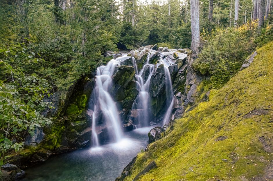 A tranquil waterfall cascading amidst the lush greenery of a forest, creating a peaceful atmosphere.