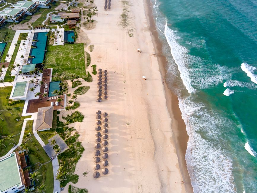 Luxury Resorts East Coast US: The Vegetarian Traveler’s No-BS Filter