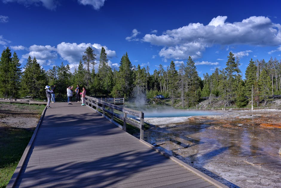 Tourists exploring the geothermal features at Yellowstone's scenic boardwalk under a clear blue sky.