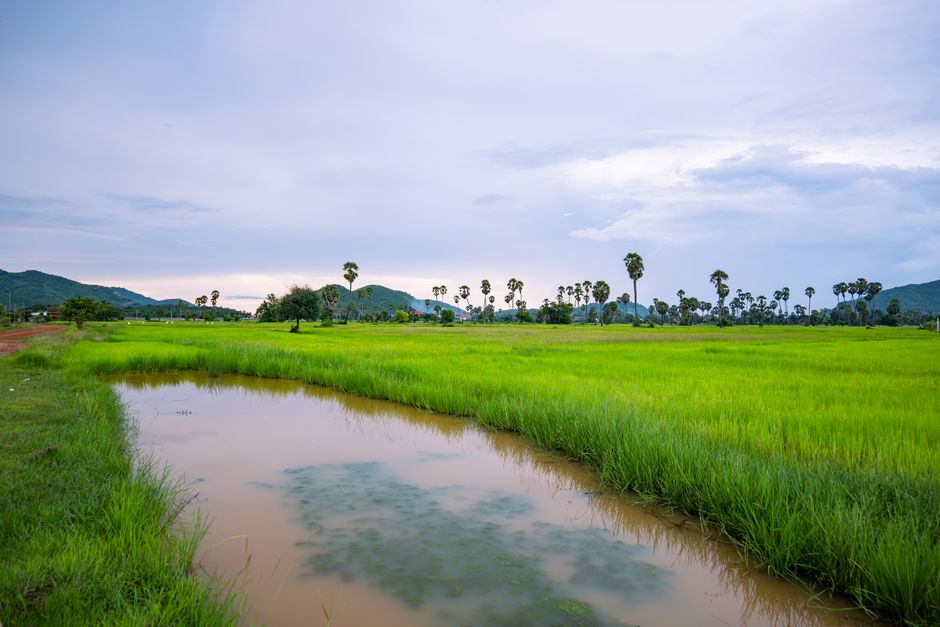 Travel Apps Thailand: What Actually Works Once You Land in Bangkok