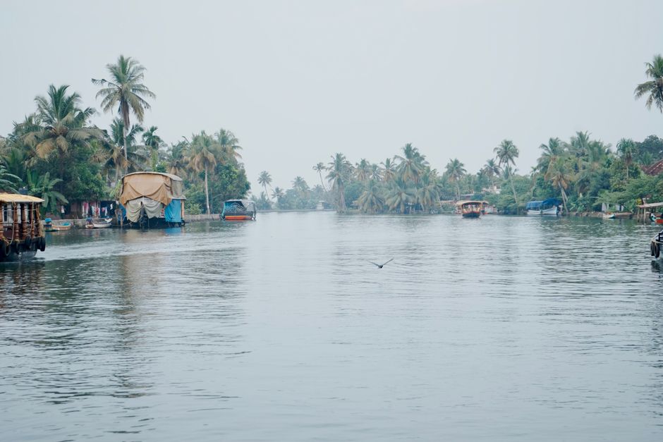 Tranquil view of Kerala backwaters featuring traditional houseboats and lush palm trees.