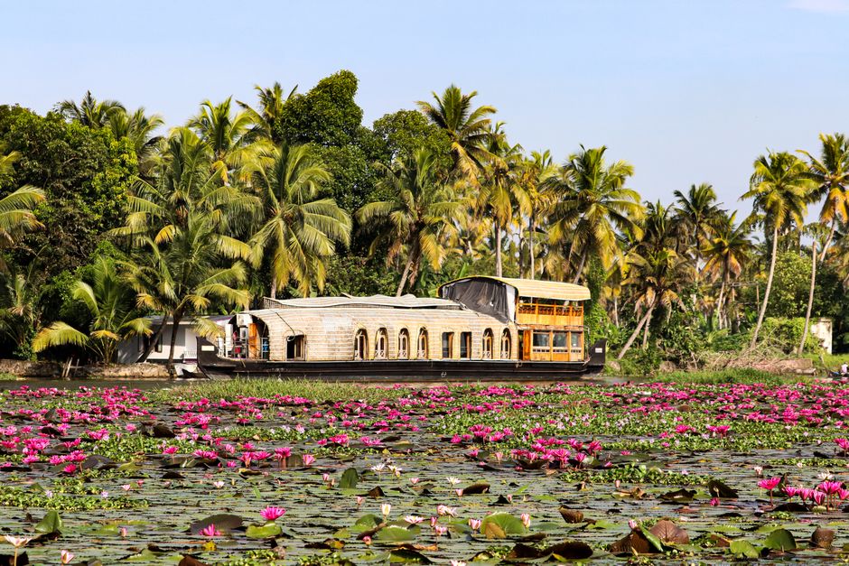 Scenic view of a traditional houseboat on Vembanad Lake surrounded by blooming lotus flowers and palm trees.